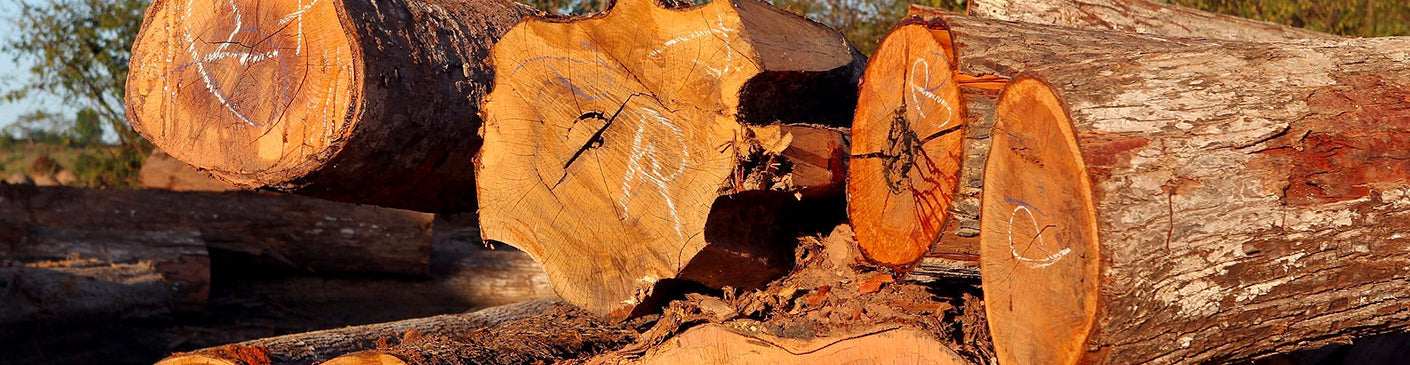 GRUME DE BOIS