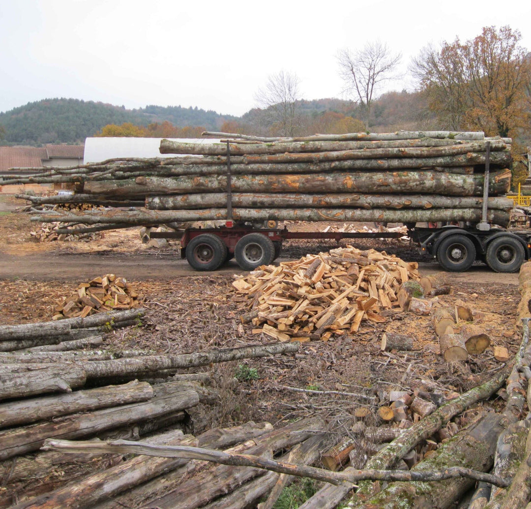 Grume de bois en camion de 60 stères Hêtre Chêne Charme