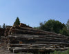 Grume de bois Hêtre, Chêne, Charme en camion de 20m3